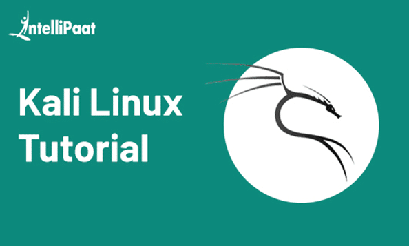 Kali Linux Tutorial Category Image