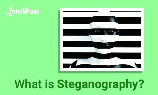 What is SteganographySmall