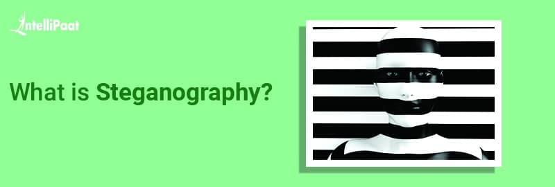 What is Steganography?