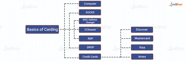 Epikion  Basics of Card Interactions: Understanding Card Roles