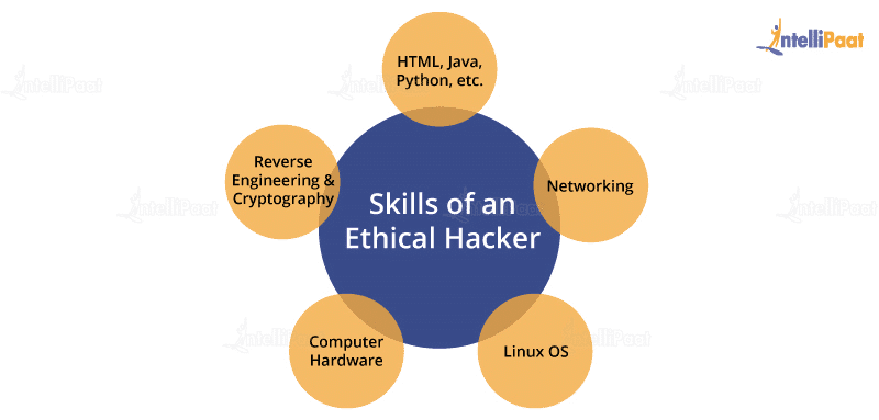 Skill of an Ethical Hacking 