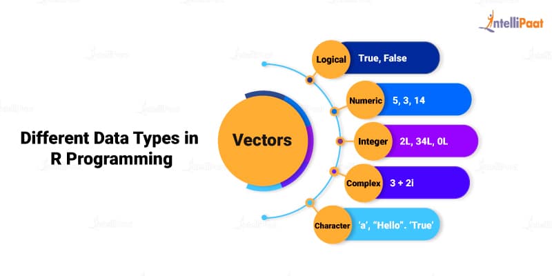 Variables and Data Types in R Programming - A Comprehensive Guide