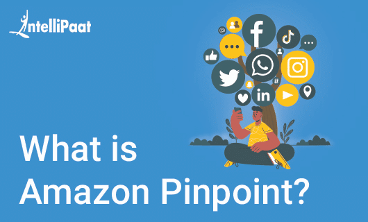 what-is-Amazon-Pinpoint-category-image.png