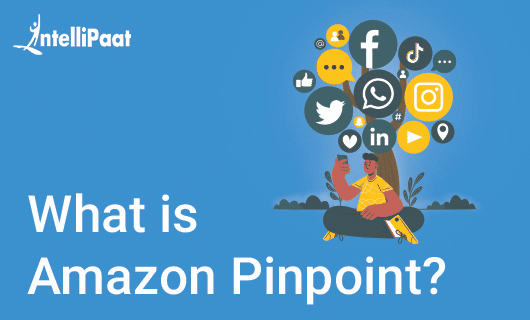 what is Amazon Pinpoint category image