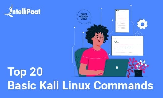 Top 20 Basic Kali Linux Commands Small