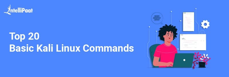 Top 20 Basic Kali Linux Commands