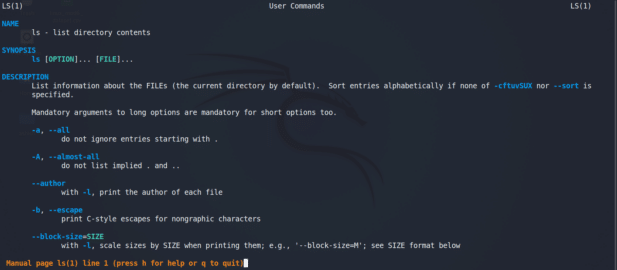 Top 20 Kali Linux Basic Commands (Updated)