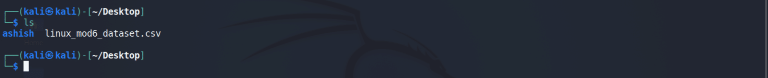 Top 20 Kali Linux Basic Commands (Updated)