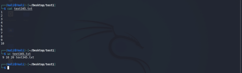 Top 20 Kali Linux Basic Commands (Updated)