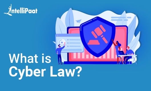 What is Cyber Law? Importance, Types, and Objectives