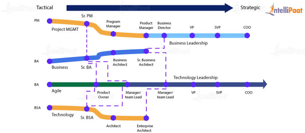 Product Owner Or Business Analyst