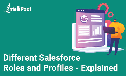 Different Salesforce Roles and Profiles - Explained
