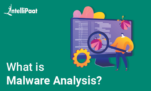 What is Malware Analysis Category Image