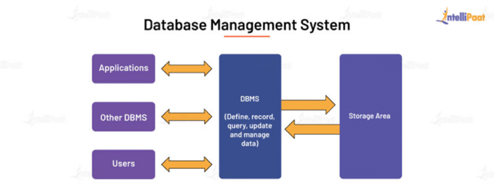 What is DBMS – Learn Database Management System