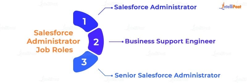 Salesforce Administrator Job Roles