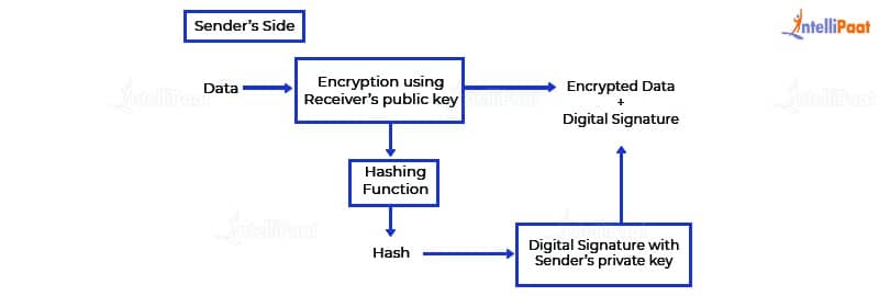 Digital Signature Encryption