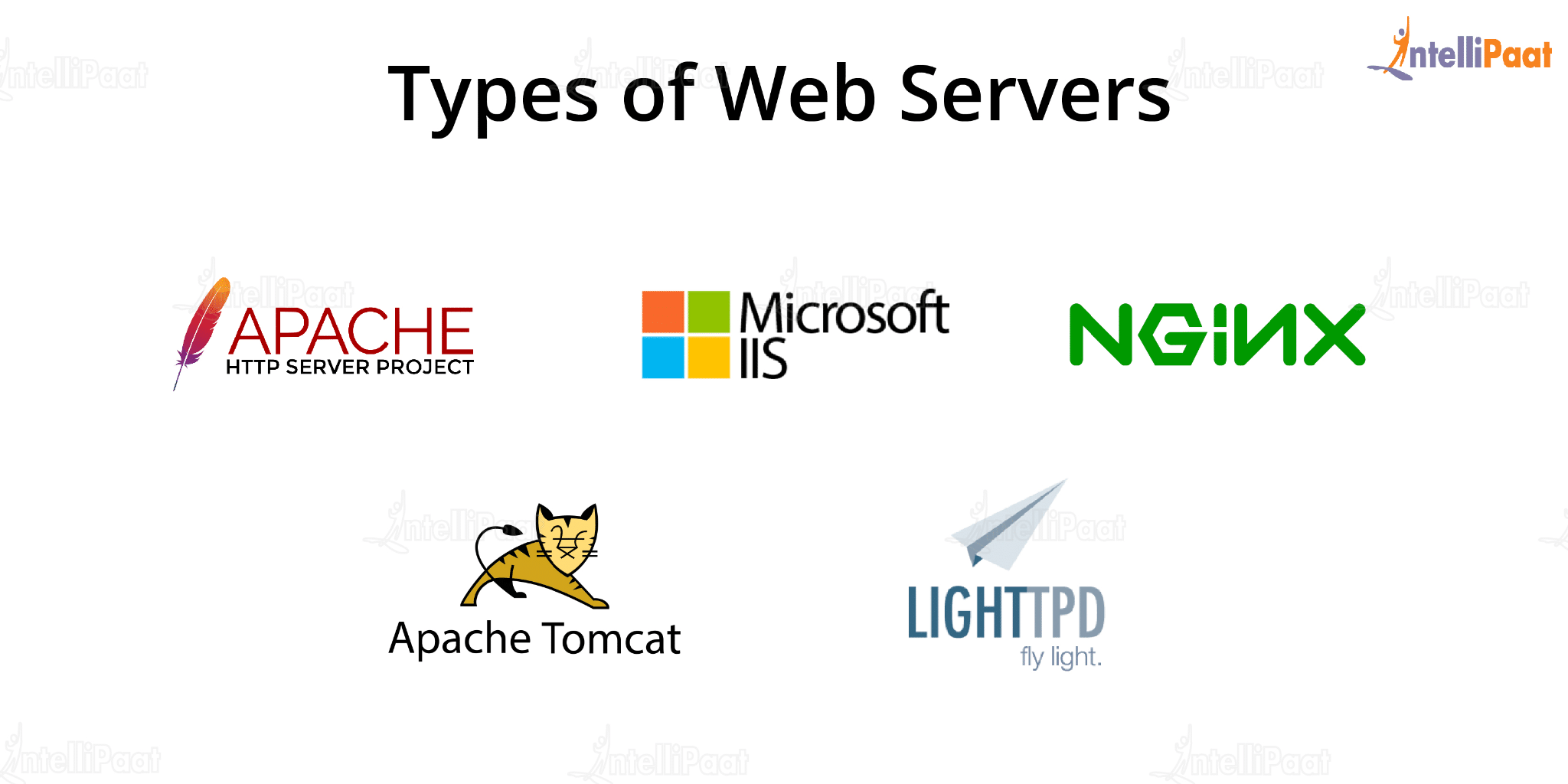 Types of Web Servers