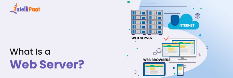 What Is a Web Server