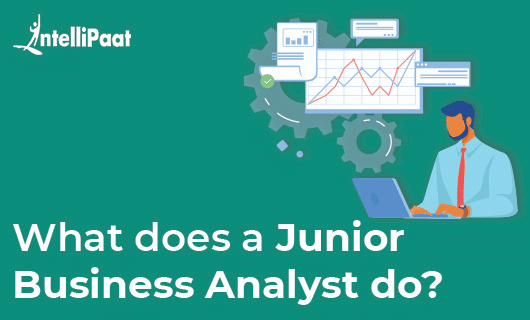 What-does-a-Junior-Business-Analyst-do-category-image.png