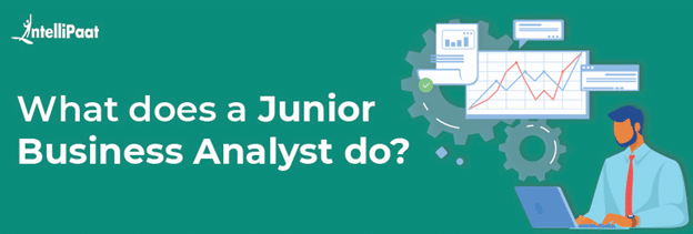 What does a Junior Business Analyst do?
