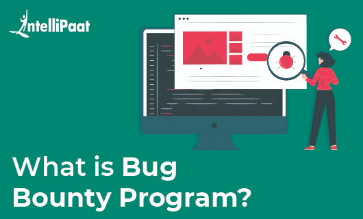 What is Bug Bounty Program small