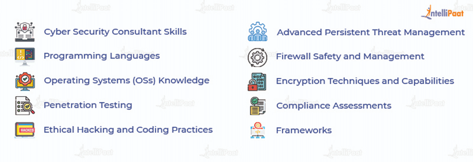 Cyber Security Consultant Skills