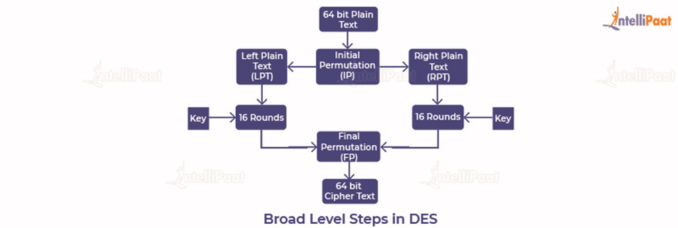 broad level steps in des
