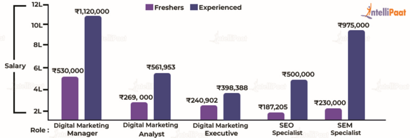 phd in digital marketing salary