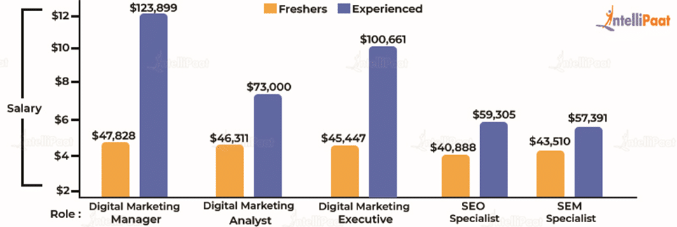 Digital Marketing Salary