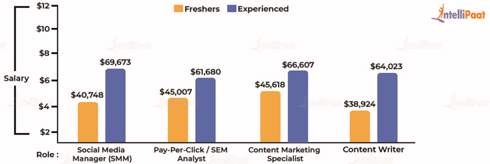 Digital Marketing Salary