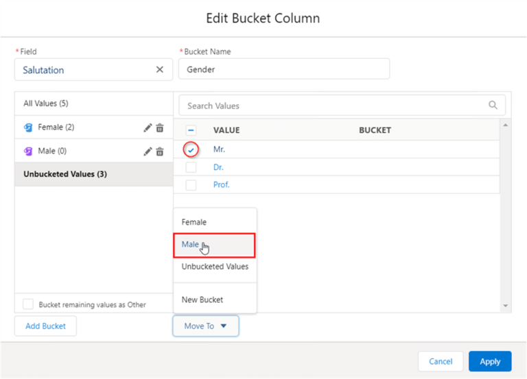 What is Bucket Field in Salesforce? Create and Use a Bucket Field