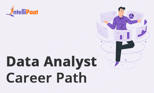 Data Analyst career path Category Image