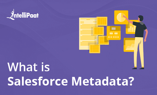 What Is Salesforce Metadata Category Image