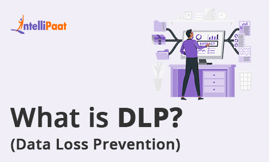 What is DLP category image