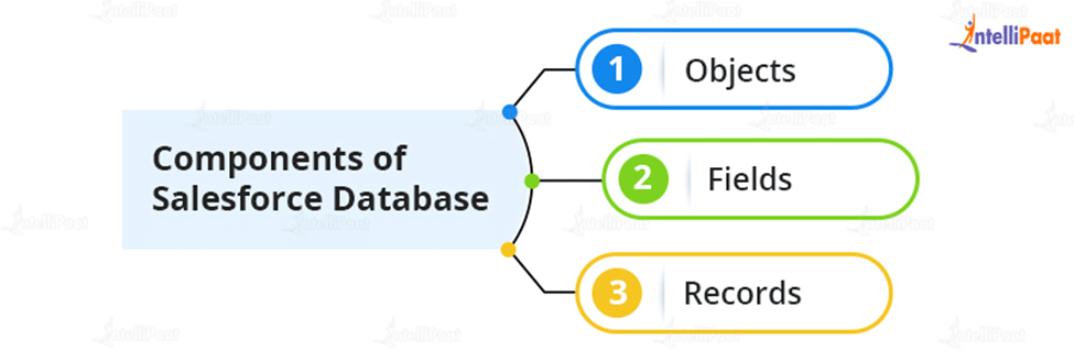 Components of Salesforce Database