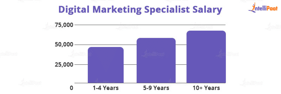 How much Salary does Digital Marketing Executive make