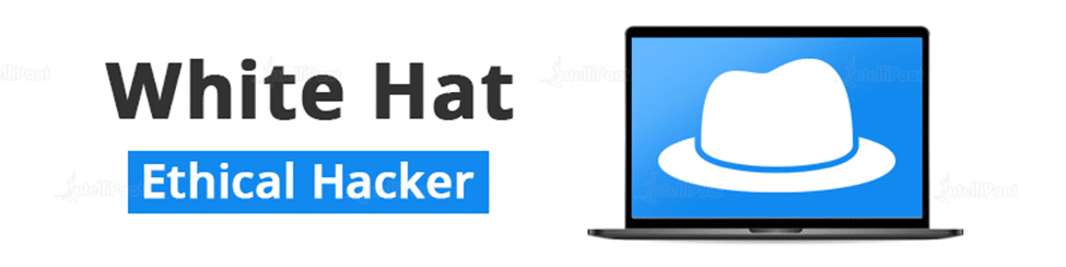 white hat ethical hacker