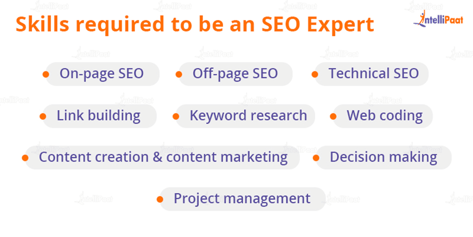 Skills required to be an SEO Expert