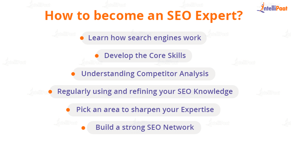 How to become an SEO Expert?