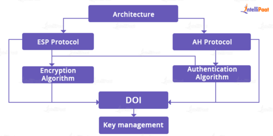 What Is IPsec (Internet Protocol Security) & How Does IPsec Work?