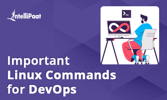 Important Linux Commands for Devops category image