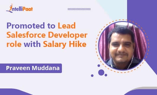 Promoted to Lead Salesforce Developer role with Salary Hike
