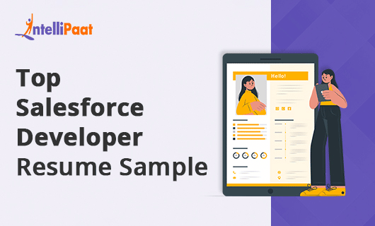 Top Salesforce Developer Resume Sample Category Image