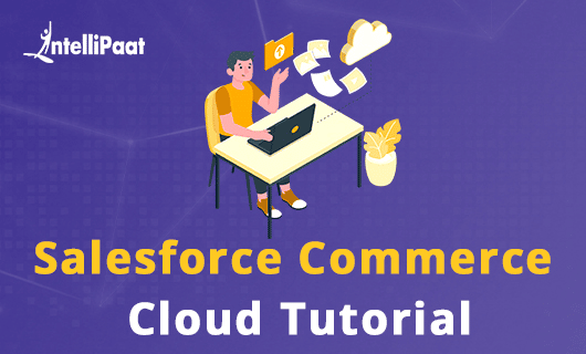 Salesforce Commerce Cloud Tutorial Category image