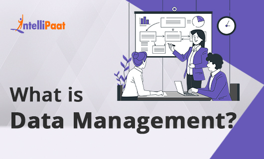 What is Data Management Category Image