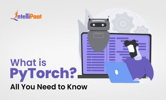 What is PyTorch Category Image