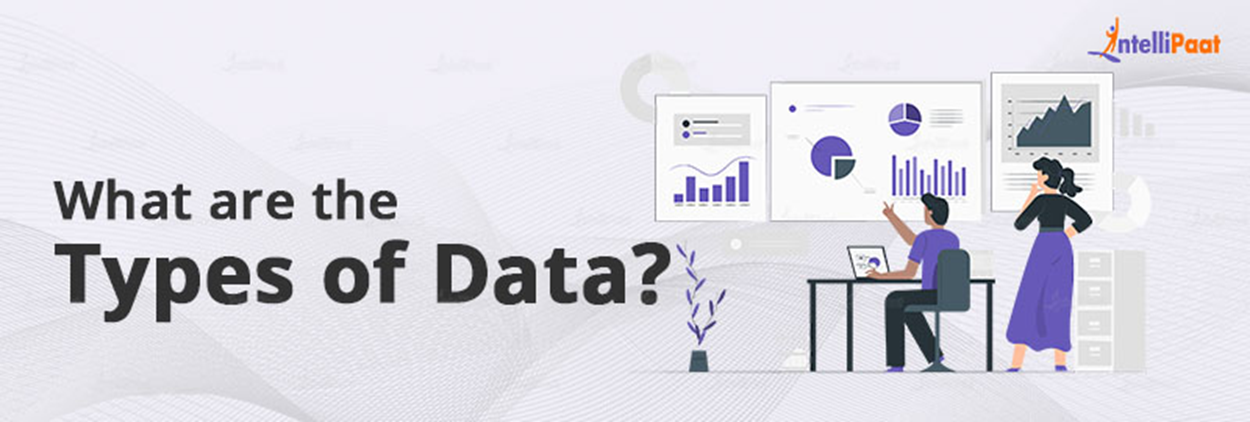 What are the types of Data?