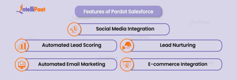 What Is Pardot Salesforce? Definition & Features