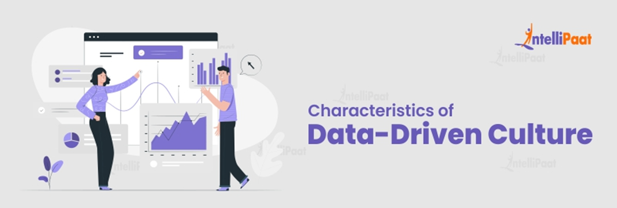 Characteristics of Data-Driven Culture