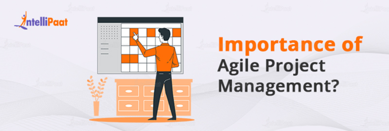 What is Agile Project Management (APM)? - Complete Guide